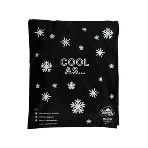 SPE-CHPK-B - SPENCIL BIG CHILL PACKS Fits Big Spencil Lunch Bags